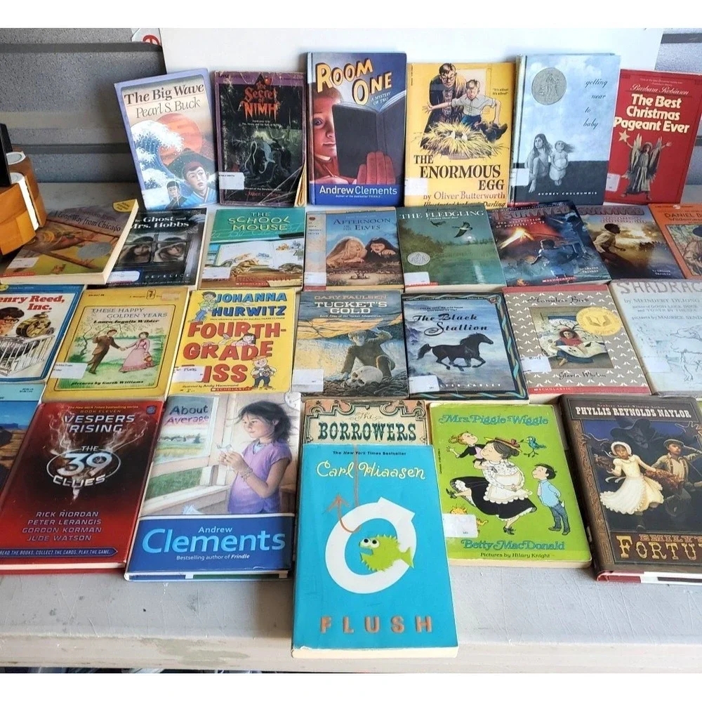 Lot of 30 Misc Titles Gr 4-5 Leveled Reader Books Homeschool Classroom Tutor‎
